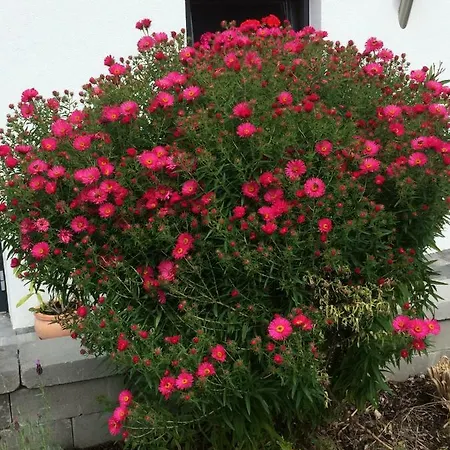 Waldrast Mini-hôtel