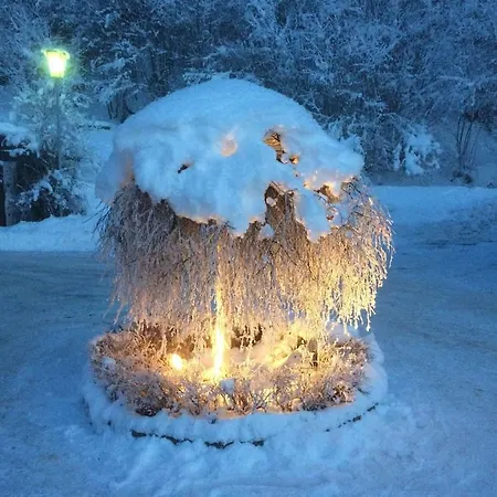 Mini-hôtel Waldrast 2*